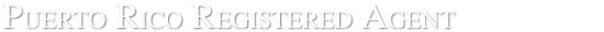 http://www.puerto-rico-registered-agents.com/